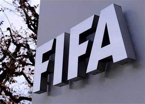 الاتحاد الدولي لكرة القدم (الفيفا)